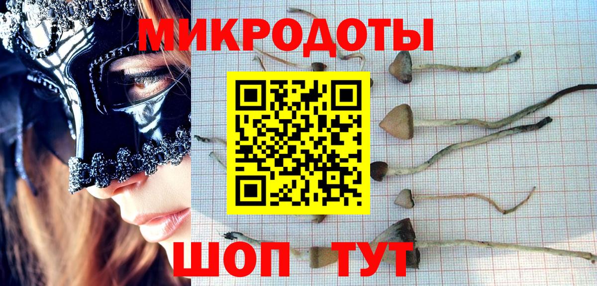 Фрязино  Псилоцибиновые грибы MAGIC MUSHROOMS  Вход с VPN  Псилоцибиновые грибы GOLDEN TEACHER 